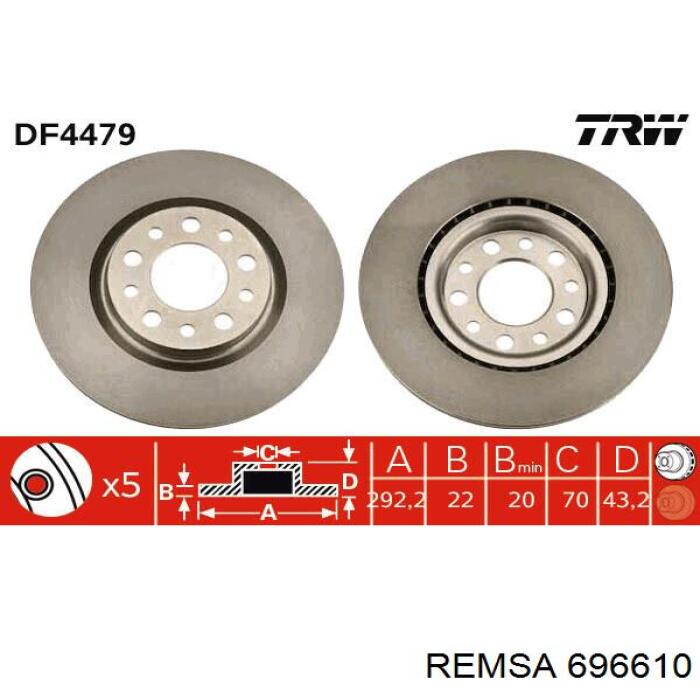 6966.10 Remsa disco de freno trasero