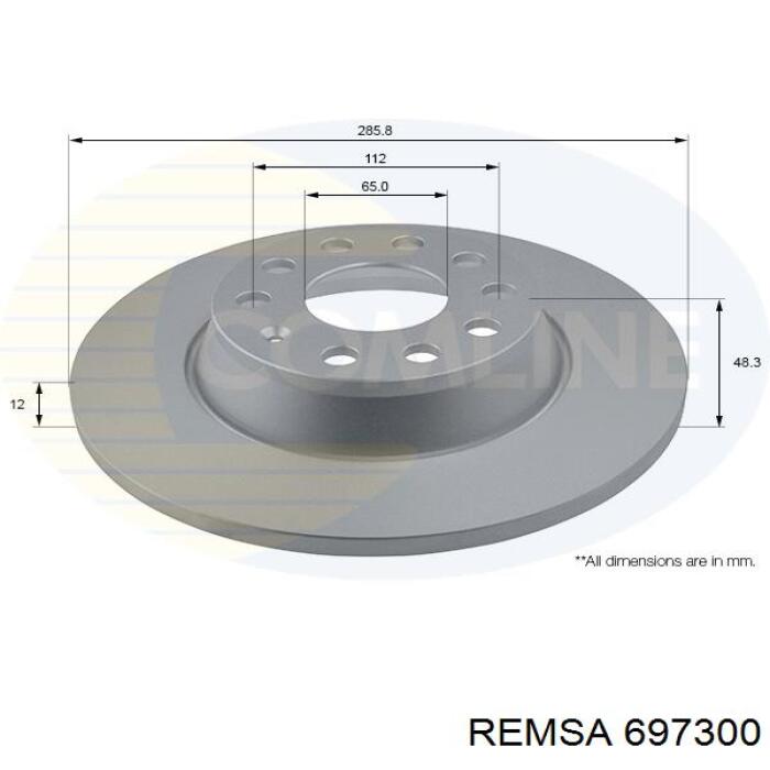 6973.00 Remsa disco de freno trasero