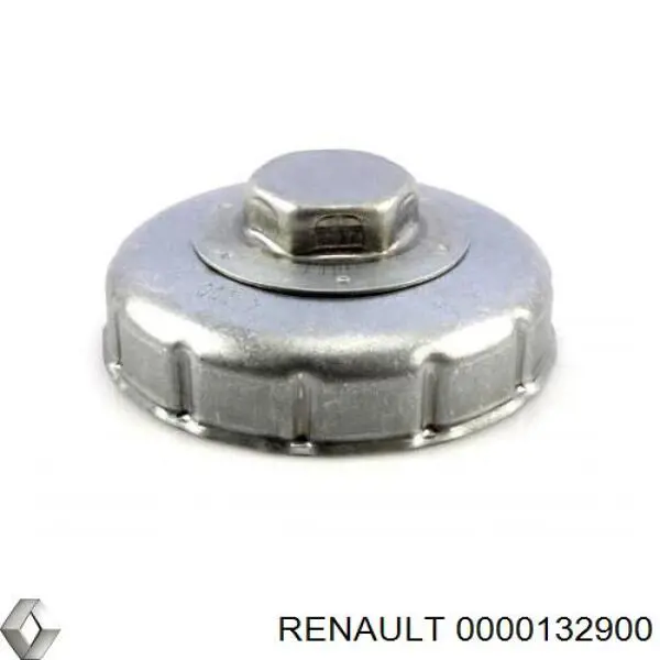 132900 Renault (RVI)