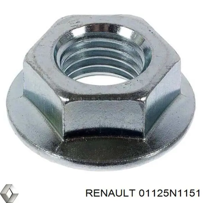 01125N1151 Renault (RVI)