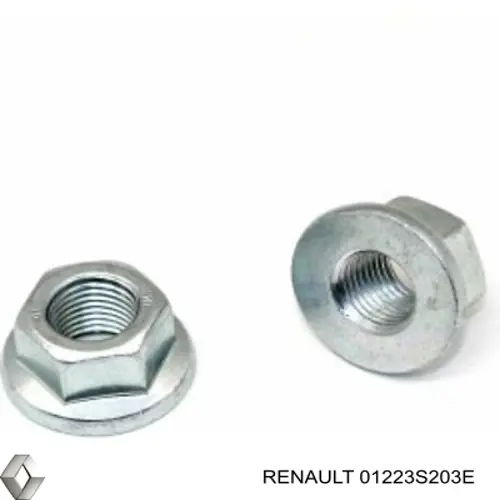 Tuerca excéntrica del brazo inferior trasero Renault (RVI) 01223S203E precio, desde 5,13 EUR