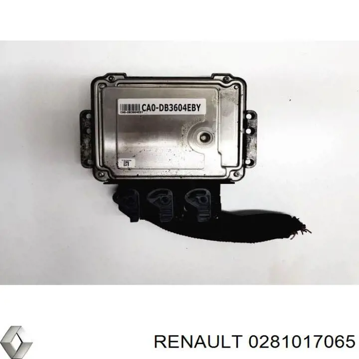 0281017065 Renault (RVI) Centralina Del Motor