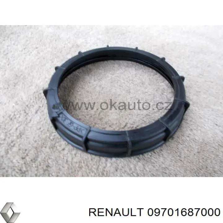 09701687000 Renault (RVI)