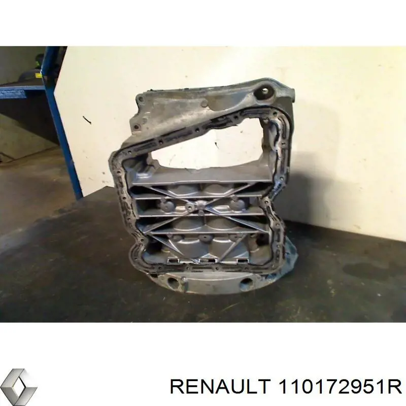 110172951R Renault (RVI)