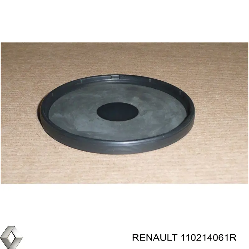 110214061R Renault (RVI) tapón de culata