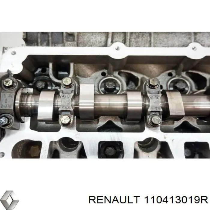 Cabeza de cilindro Renault (RVI) 110413019R precio, desde 454,48 EUR
