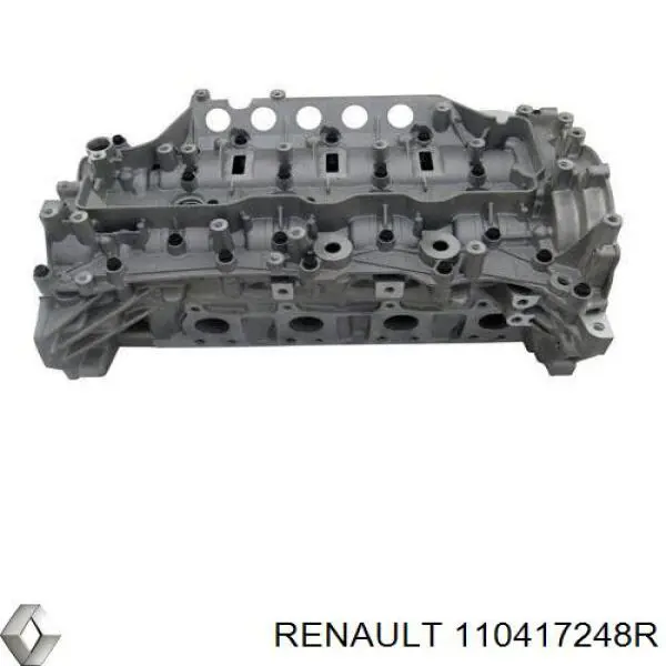 110417248R Renault (RVI) culata