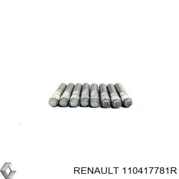 Cabeza de cilindro Renault (RVI) 110417781R precio, desde 482,70 EUR