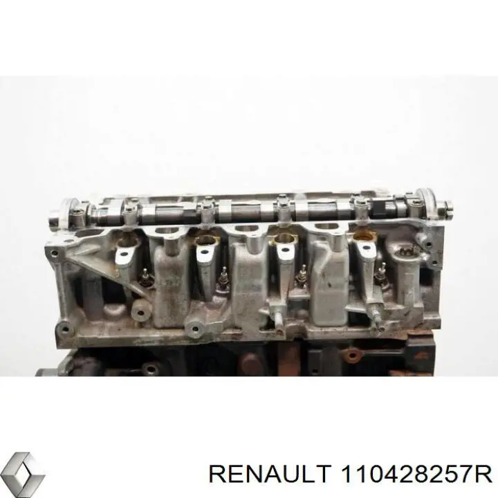 Culata de motor Renault (RVI) 110428257R