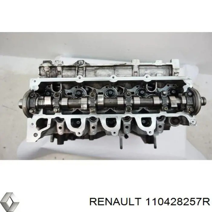 Cabeza de cilindro Renault (RVI) 110428257R precio, desde 406,56 EUR