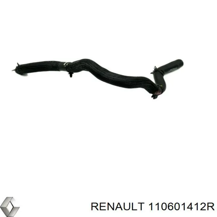 110606780R Renault (RVI)