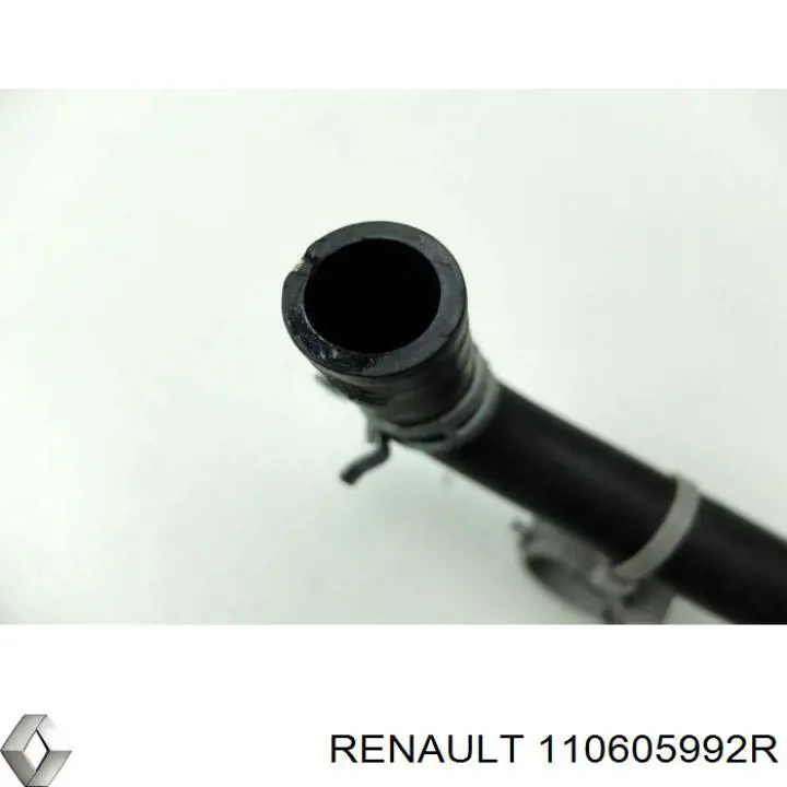 110605992R Renault (RVI)