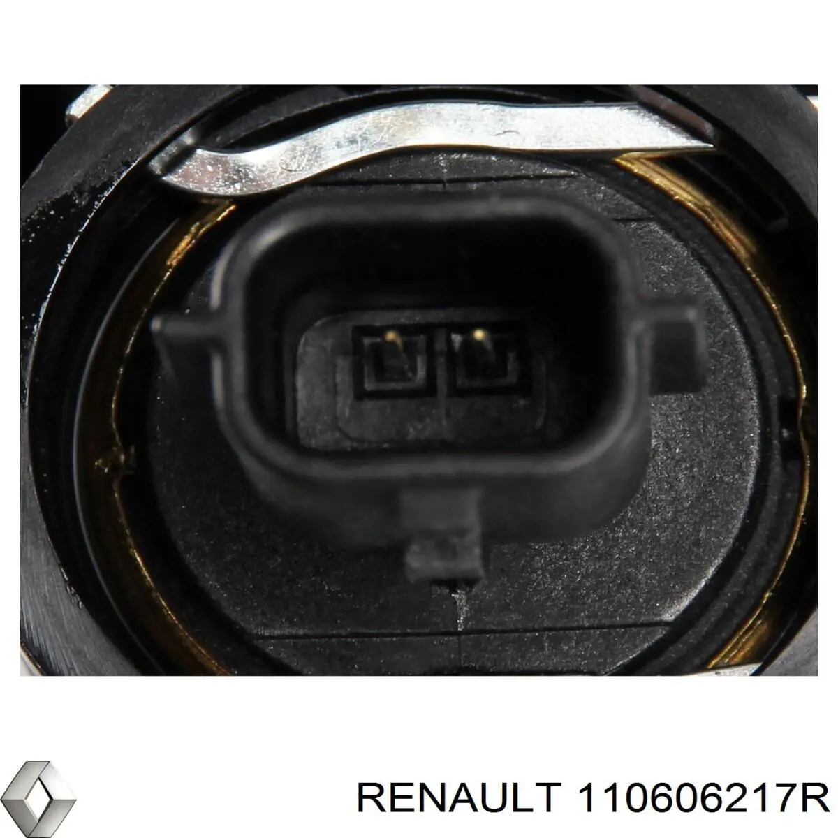 110606217R Renault (RVI) Caja del termostato