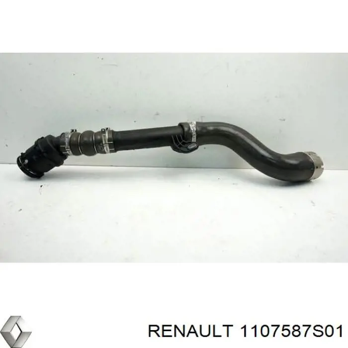 1107587S01 Renault (RVI)