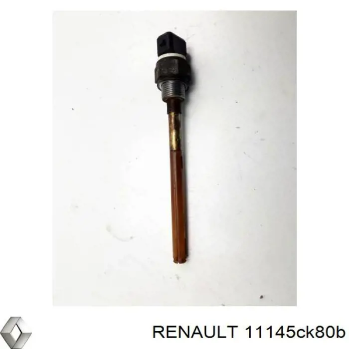 11145CK80B Renault (RVI)