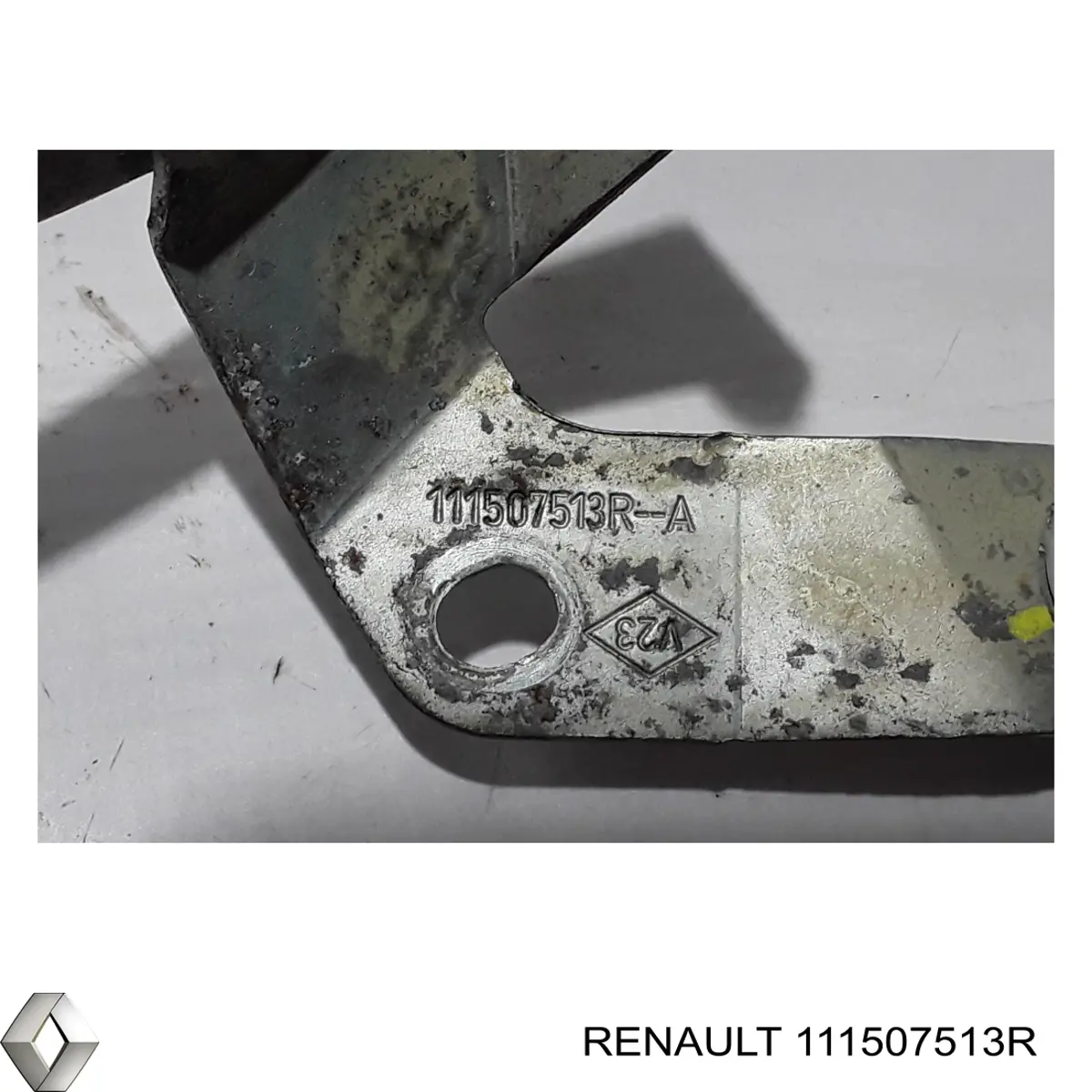 Comprar 111507513R Renault (RVI) Varilla aceite