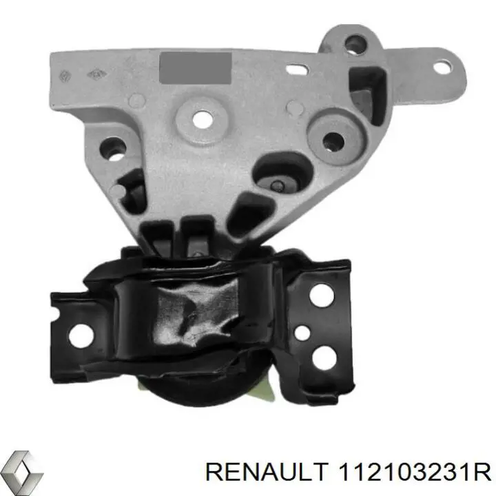 112103231R Renault (RVI)