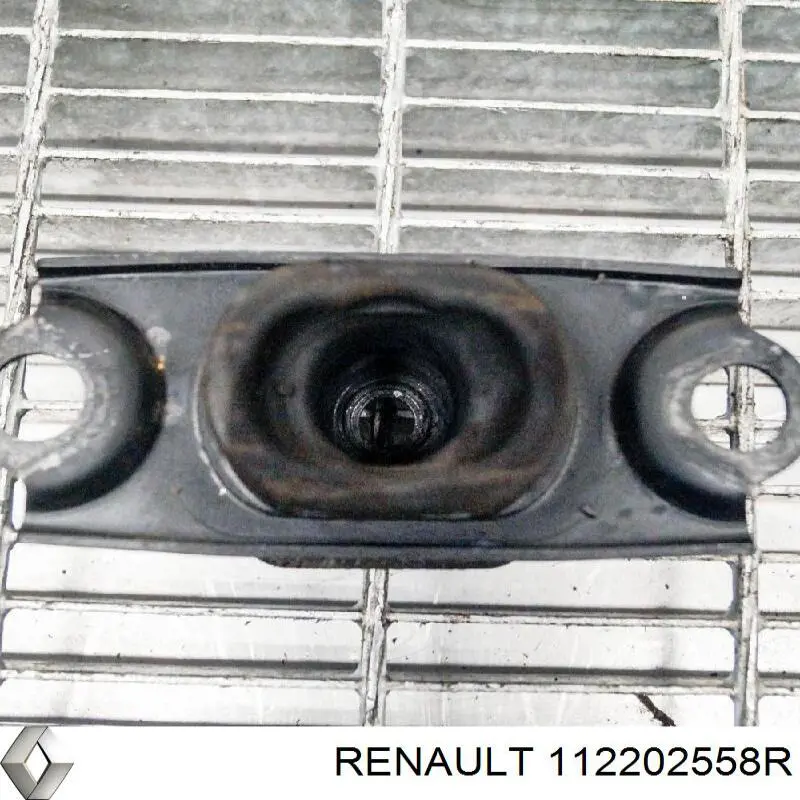 Soporte izquierdo del motor Renault (RVI) 112202558R precio, desde 18,57 EUR