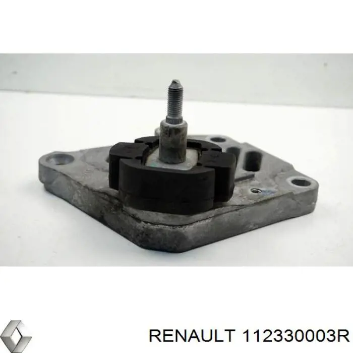 112330003R Renault (RVI)