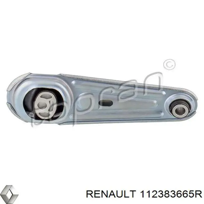 Soporte de motor trasero Renault Kangoo 2 FW0
