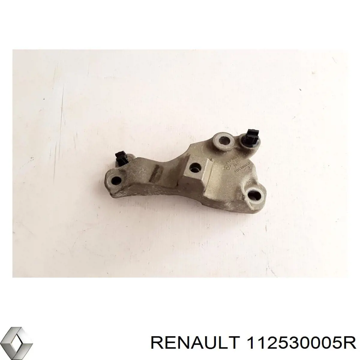 112530005R Renault (RVI)