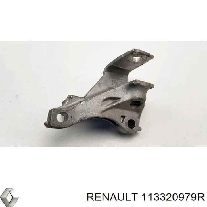 113320979R Renault (RVI) 