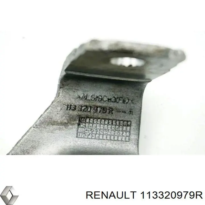  Renault (RVI) 113320979R precio, desde 70,43 EUR