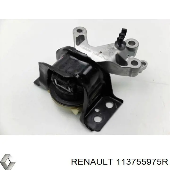 Comprar 41686 3RG Soporte delantero derecho del motor