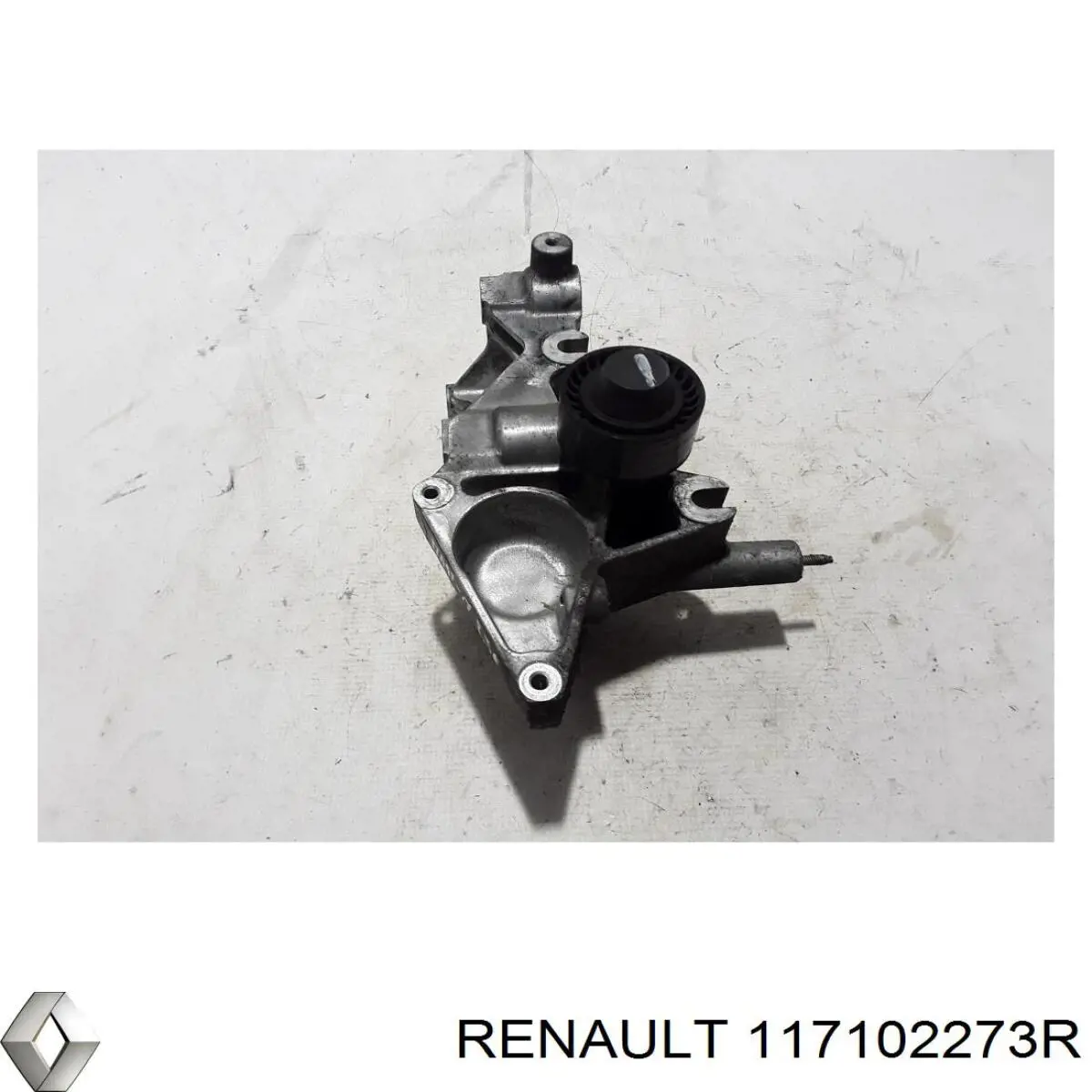 117102273R Renault (RVI) 