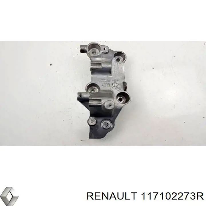  Renault (RVI) 117102273R precio, desde 137,94 EUR