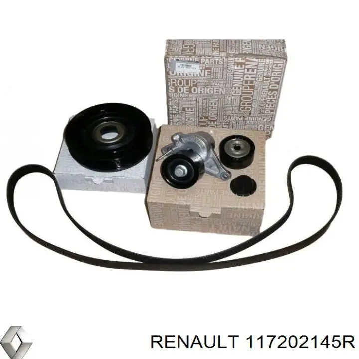 8660004400 Renault (RVI) Correa de transmisión, completo