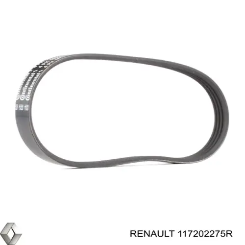 117202275R Renault (RVI) Correa poly v