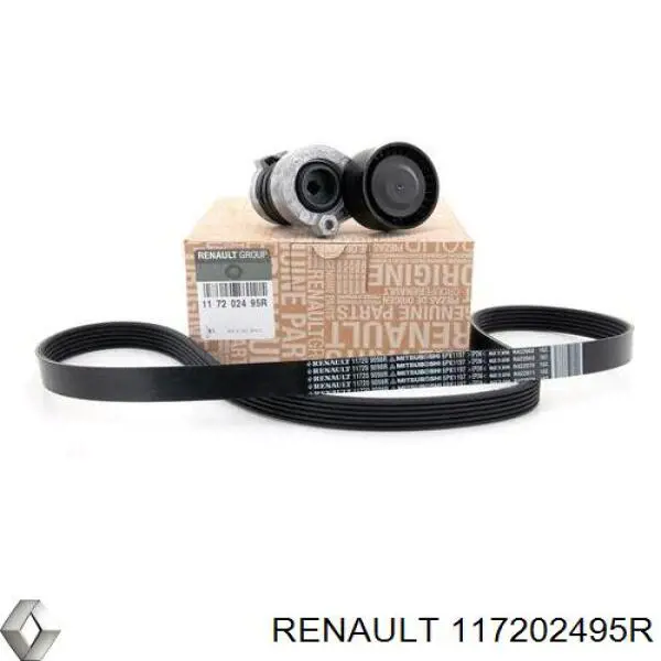 Correa de transmisión, juego Renault (RVI) 117202495R precio, desde 119,56 EUR