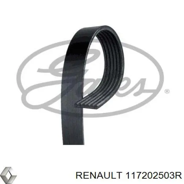 117202503R Renault (RVI)