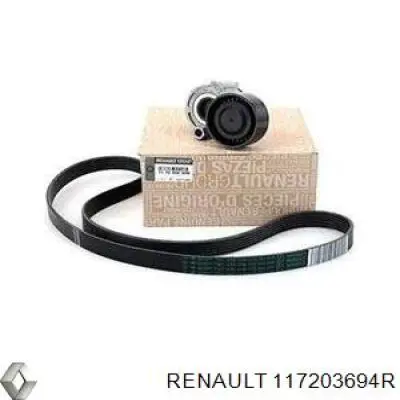 Correa de transmisión 117203694R Renault (RVI)