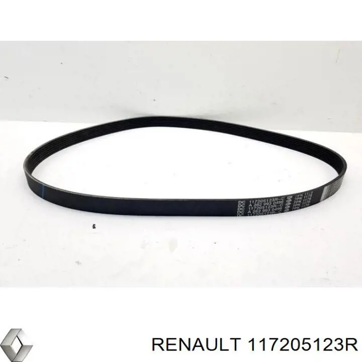 Correa de transmisión trapezoidal Renault (RVI) 117205123R precio, desde 24,29 EUR