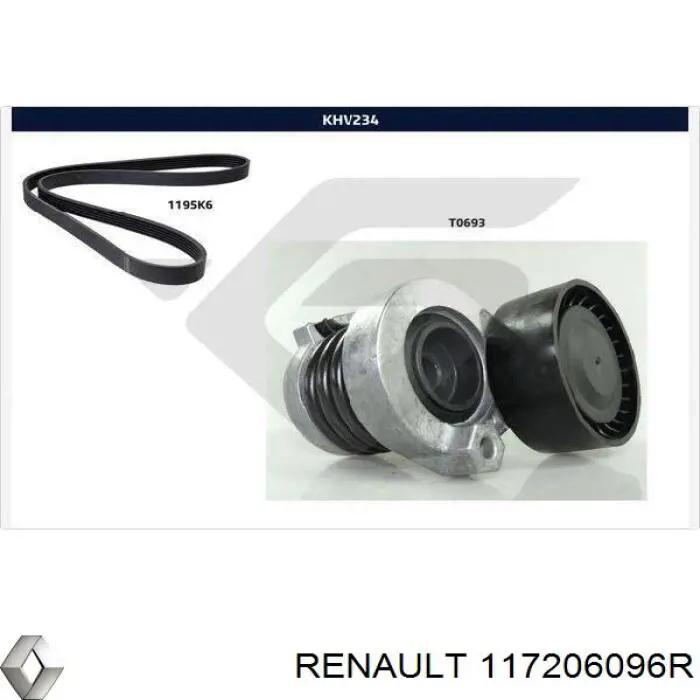 Correa de transmisión 117206096R Renault (RVI)