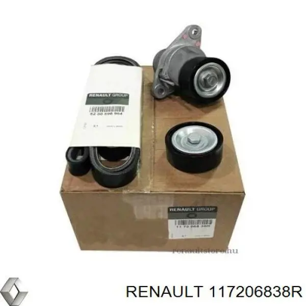 Correa de transmisión, juego Renault (RVI) 117206838R precio, desde 92,21 EUR