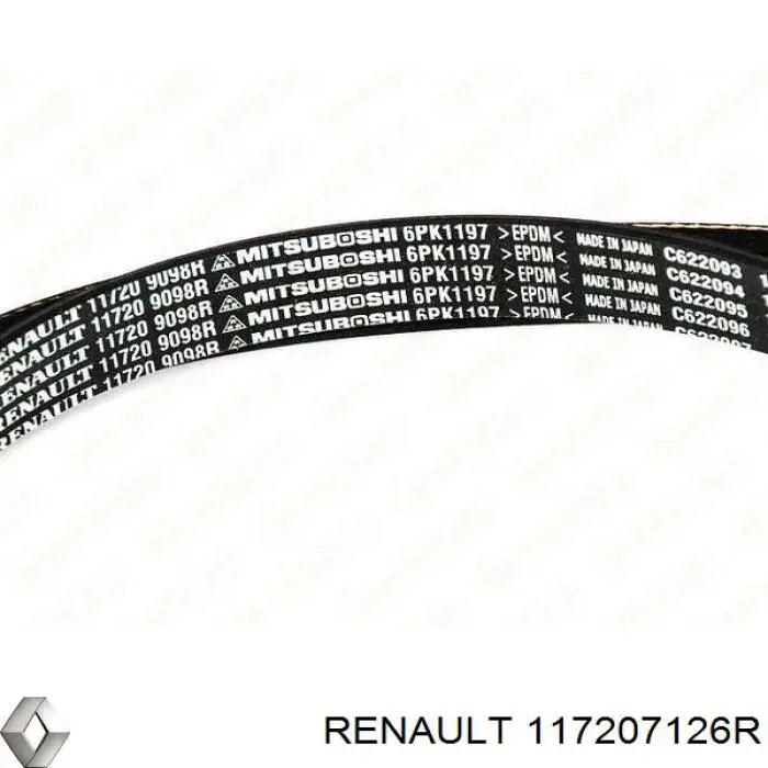 Correa de transmisión 117207126R Renault (RVI)