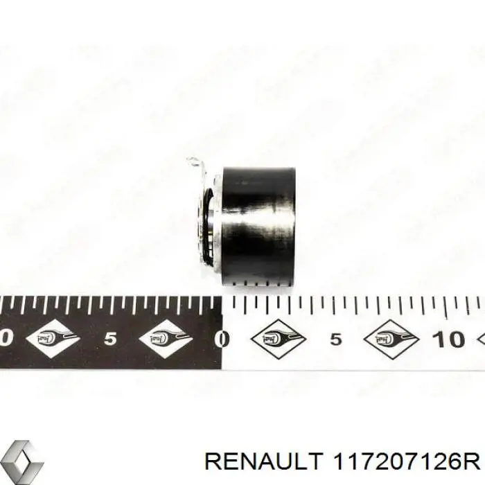 Correa de transmisión, juego Renault (RVI) 117207126R precio, desde 77,21 EUR