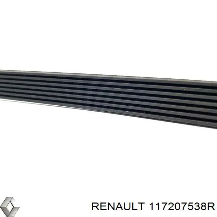 Correa de transmisión 117207538R Renault (RVI)