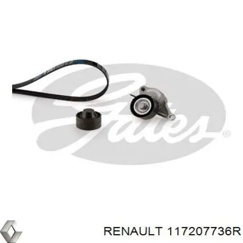 Correa de transmisión, juego Renault (RVI) 117207736R precio, desde 107,34 EUR