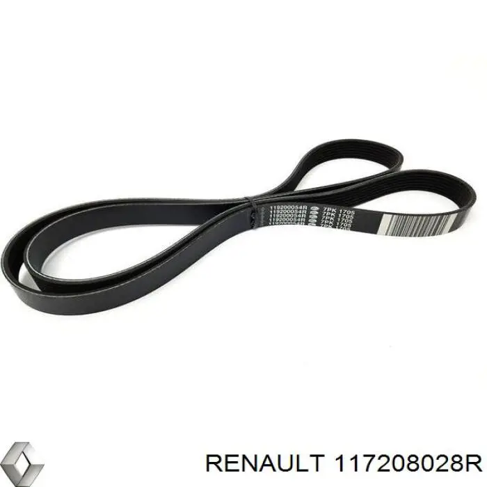 Correa de transmisión 117208028R Renault (RVI)