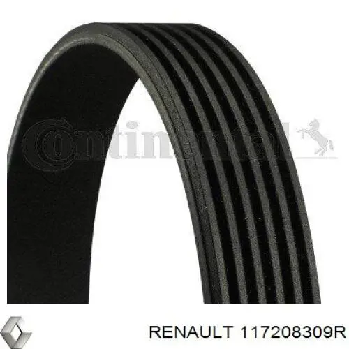 Correa de transmisión trapezoidal Renault (RVI) 117208309R precio, desde 13,34 EUR