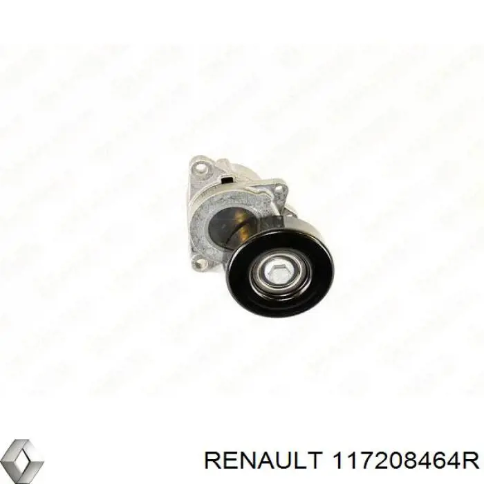Correa de transmisión 117208464R Renault (RVI)