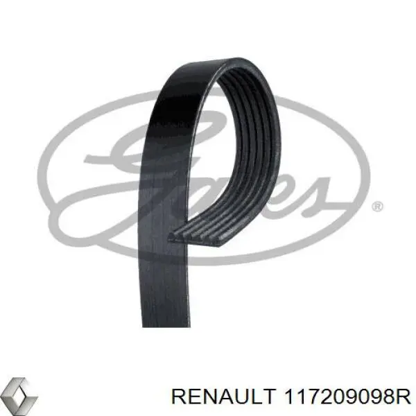 117209098R Renault (RVI) correa trapezoidal
