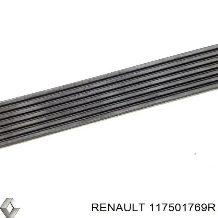 117501769R Renault (RVI) 