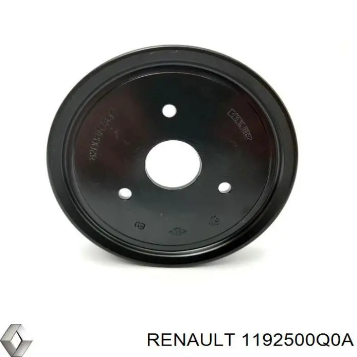 1192500Q0A Renault (RVI)