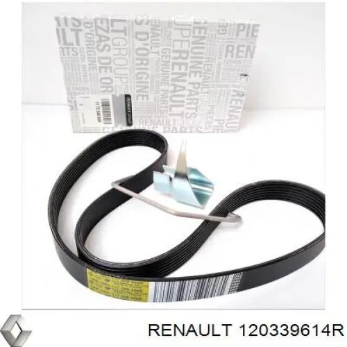 120339614R Renault (RVI) aros de pistón para 1 cilindro, std