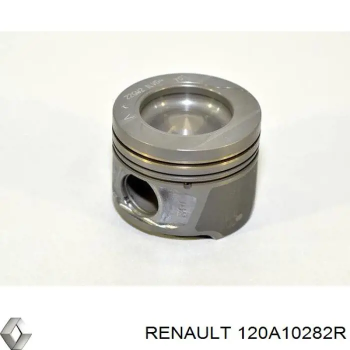 120A10282R Renault (RVI) Pistón para cilindro